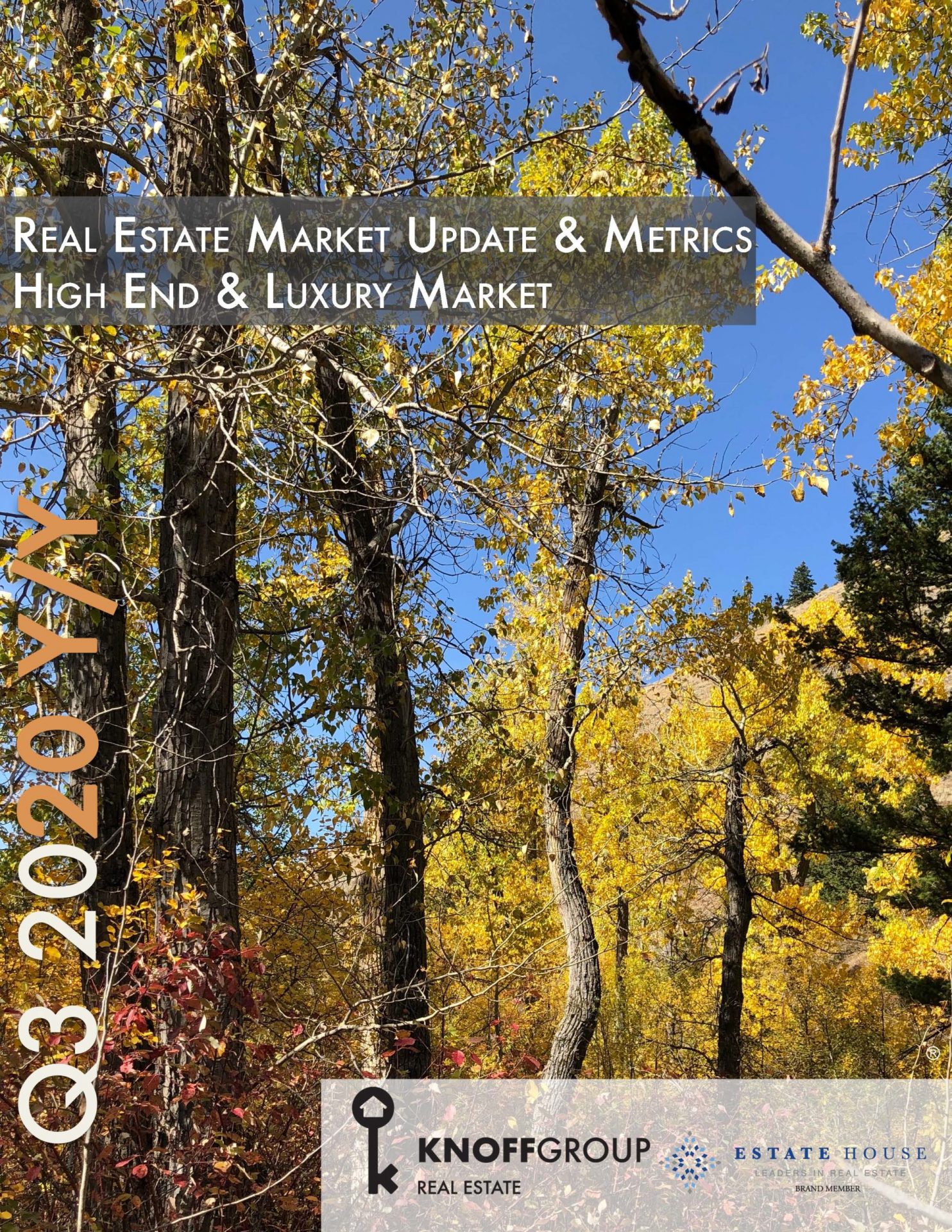 cover for 2020 Q3 luxury market stats