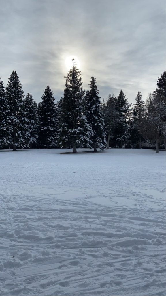 Nordic/Cross-country ski area at LindleyPark in Bozeman