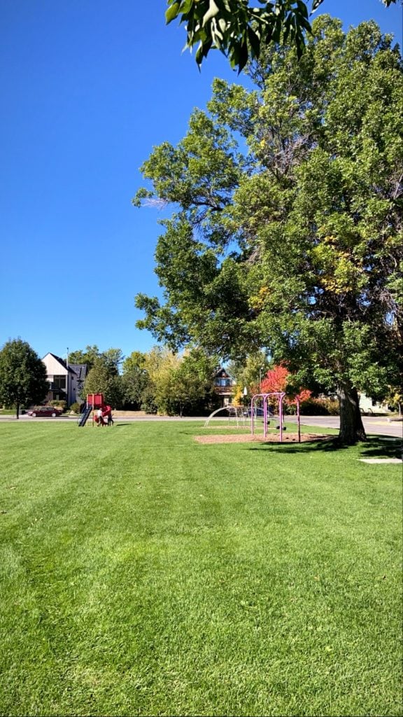 beall park in downtown bozeman