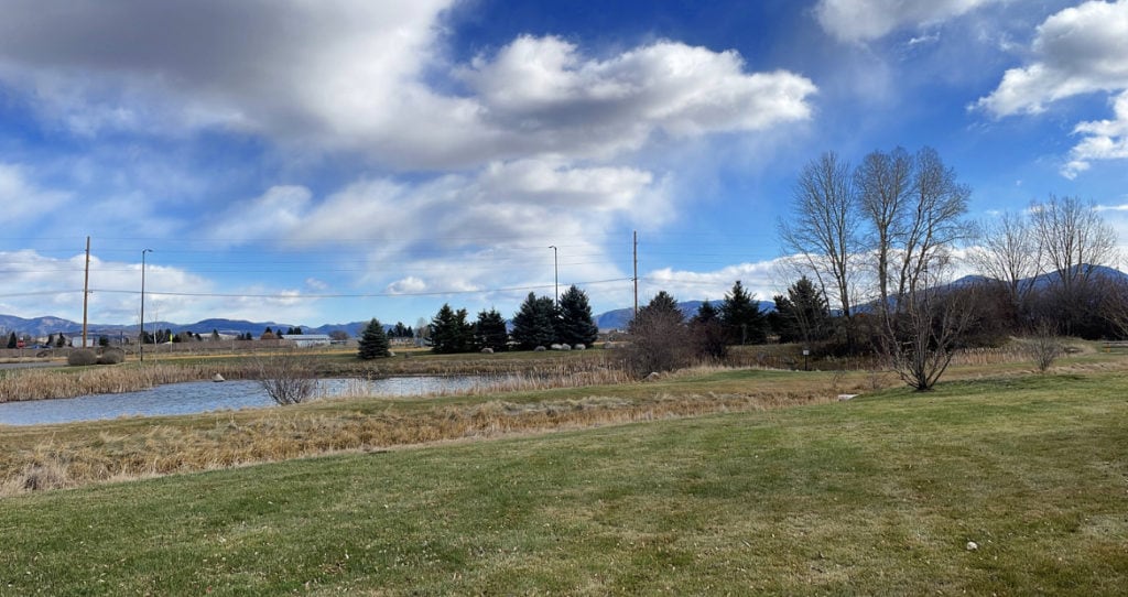 neighborhood open space and creek within the subdivision