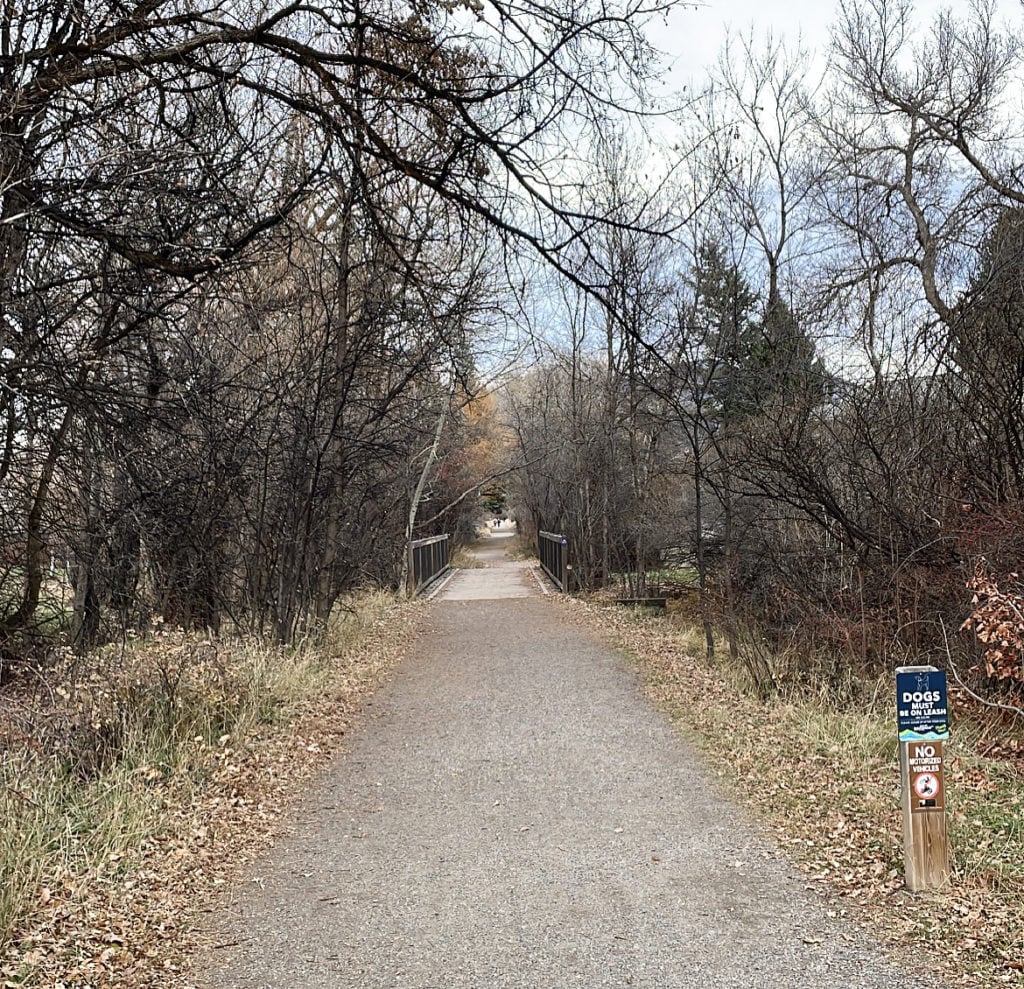 a trail near the subdivision