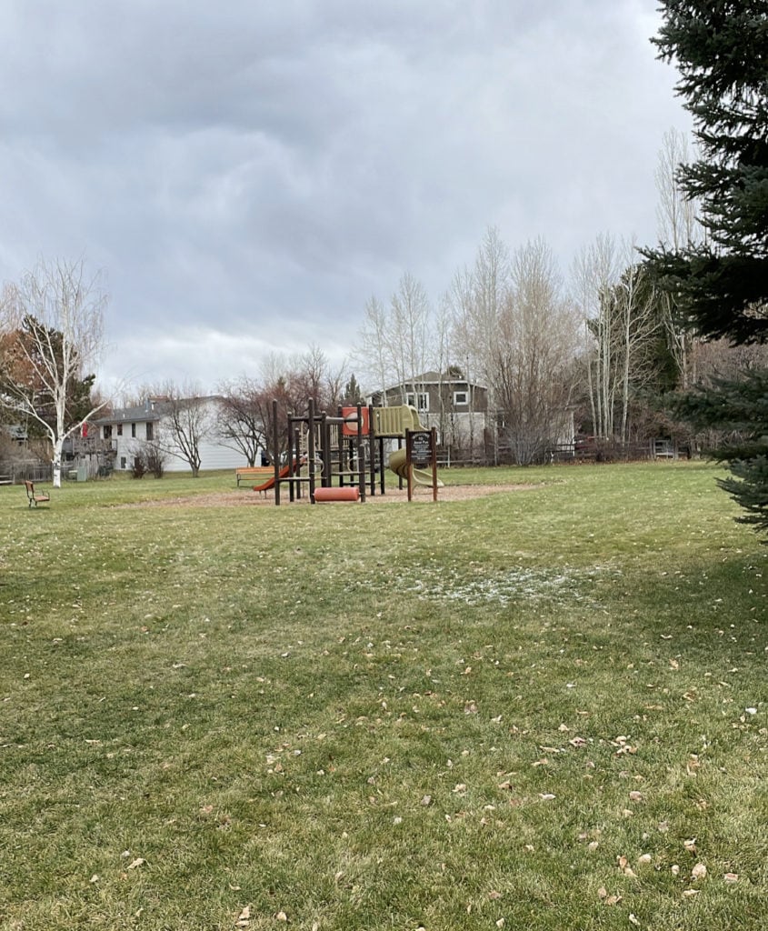 a neighborhood park within the subdivision