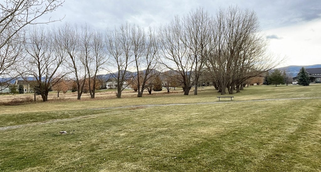 community open space within the alder creek subdivision