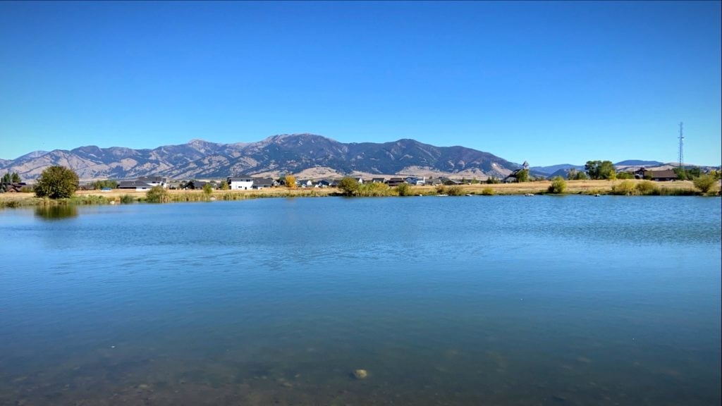 a pond near the subdivision