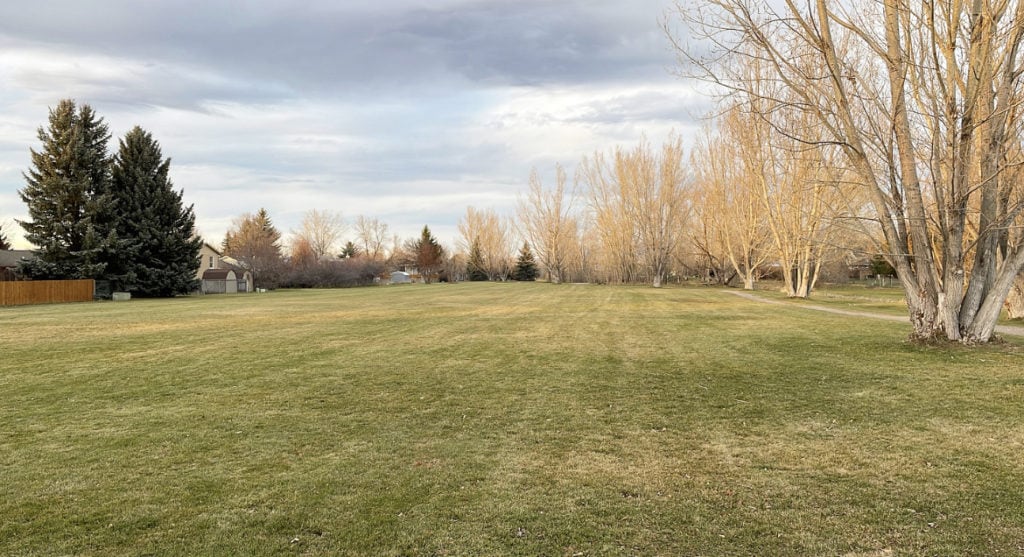 a neighborhood park within the subdivision