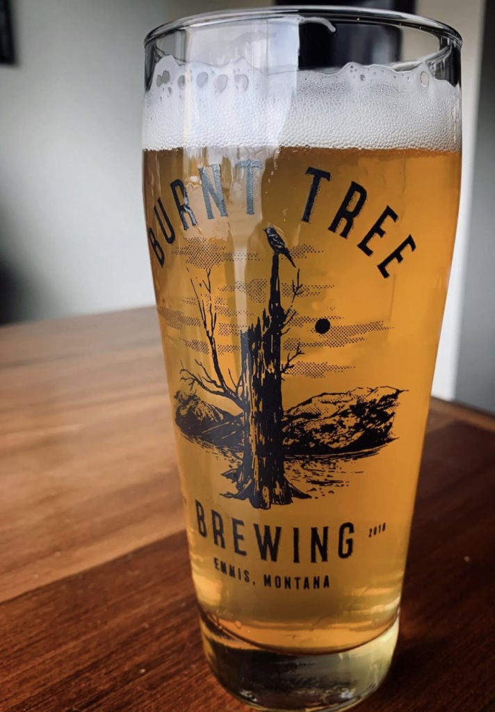 pint glass of beer inside of burnt tree brewing