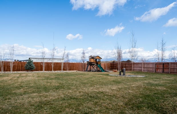 488 Countryside Lane - backyard showing playset and landscaping with grass, trees and water spigot. there is a wood paneled fence around the perimeter