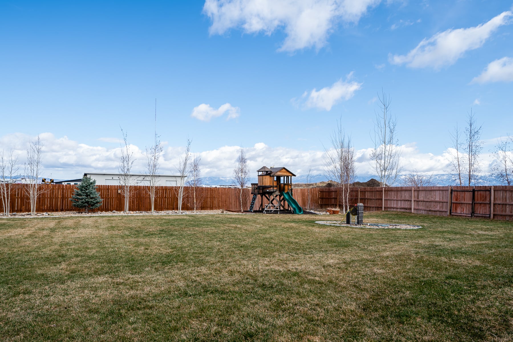 488 Countryside Lane backyard showing playset and landscaping with trees and water spigot