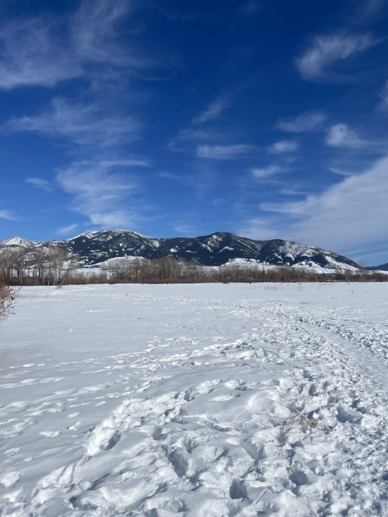 cherry river fishing access area covered in packed snow