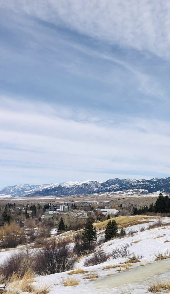 view of trees, hill, and mountains from peet's hill