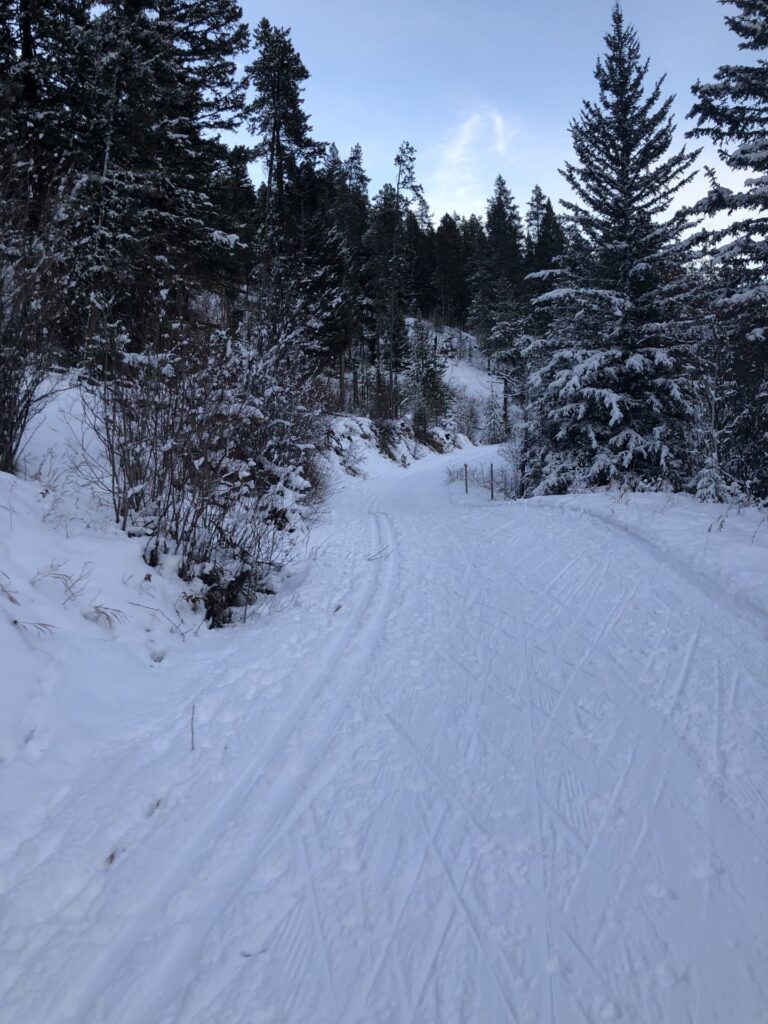 view of trail with ski marks all over it on sourdough canyon trail