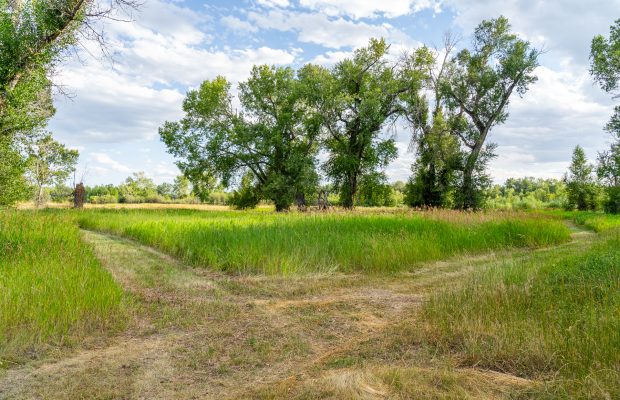 Three lots at Gallatin River Farm: neighborhood common space and trails that lead to the gallatin river and public land