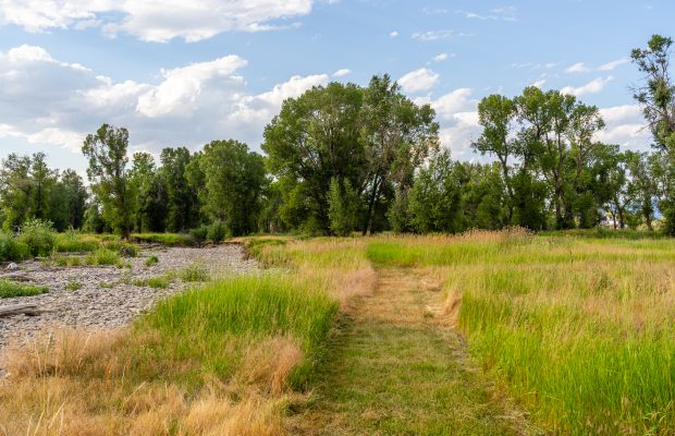 Three lots at Gallatin River Farm: trail in neighborhood common space that leads to the gallatin river and public land