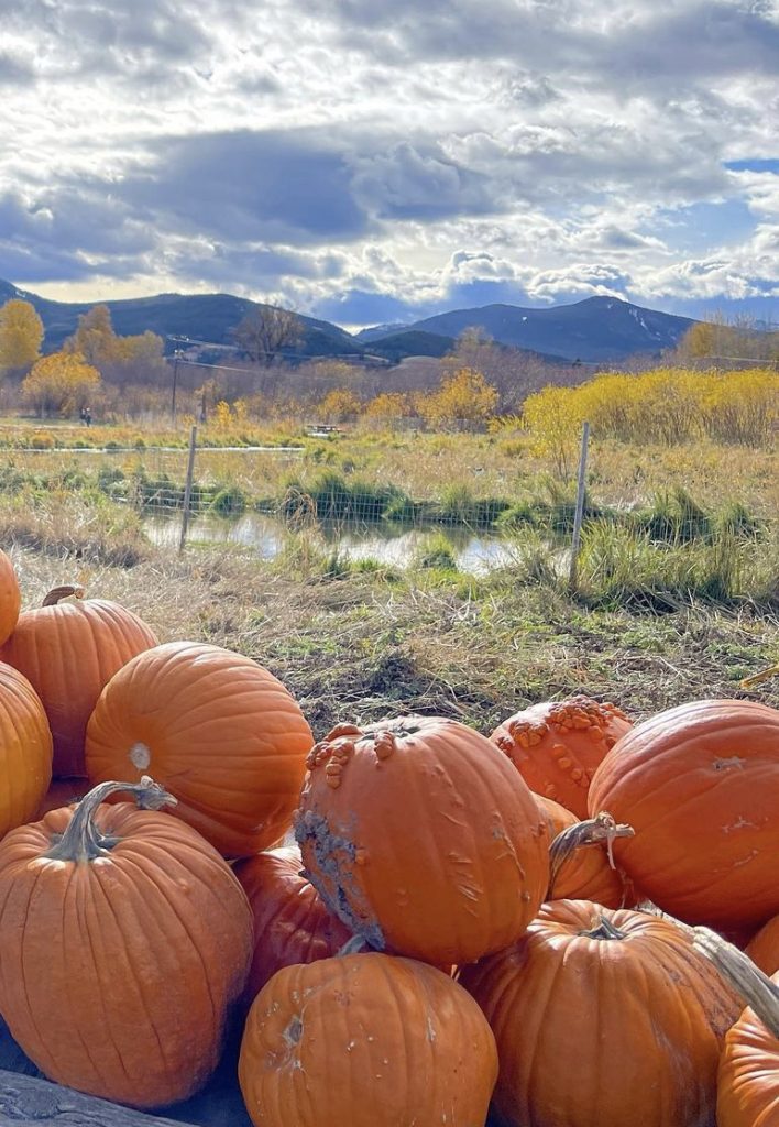 stack of pumpkins with a creek in the distance behind it