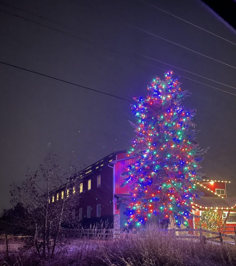 Holiday Light Displays