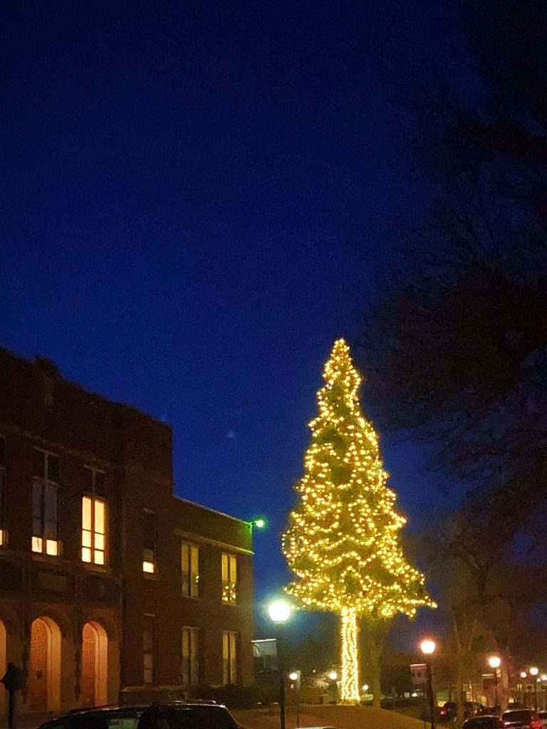 Holiday Light Displays