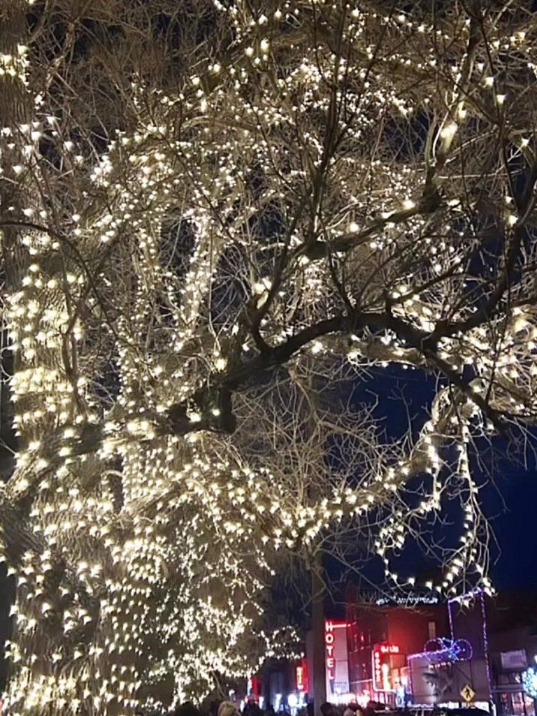 trees covered in festive lights at depot park in livingston