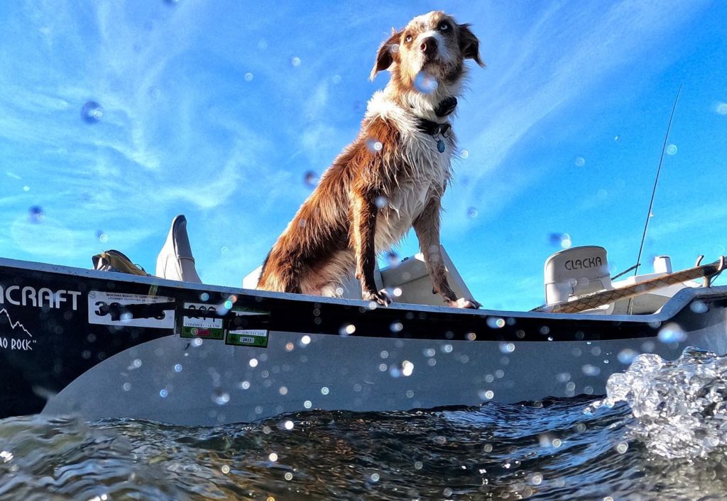 Fly fishing Primer