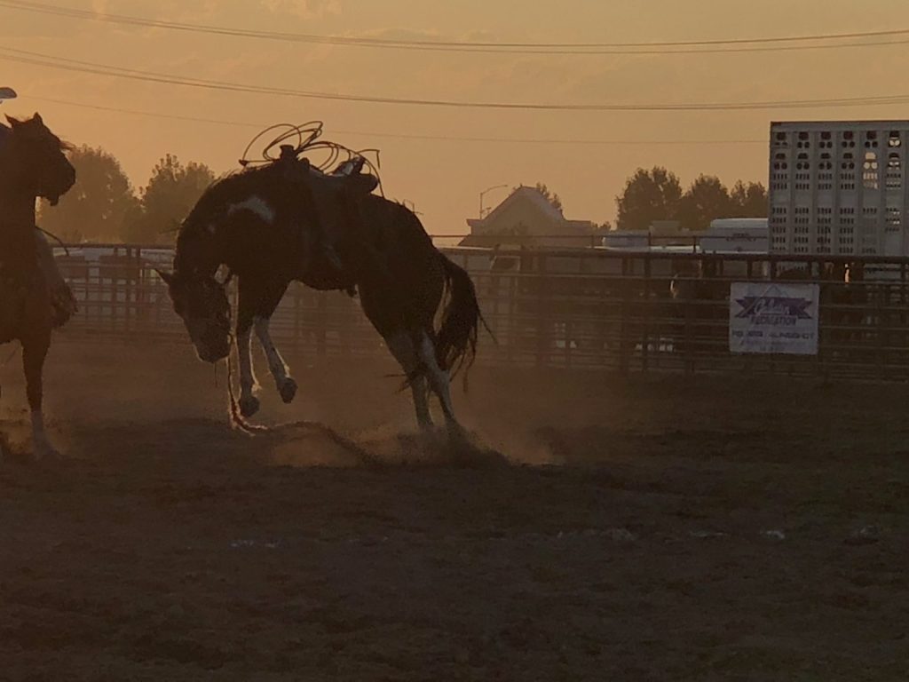 Cowboy riding horse at rodeo