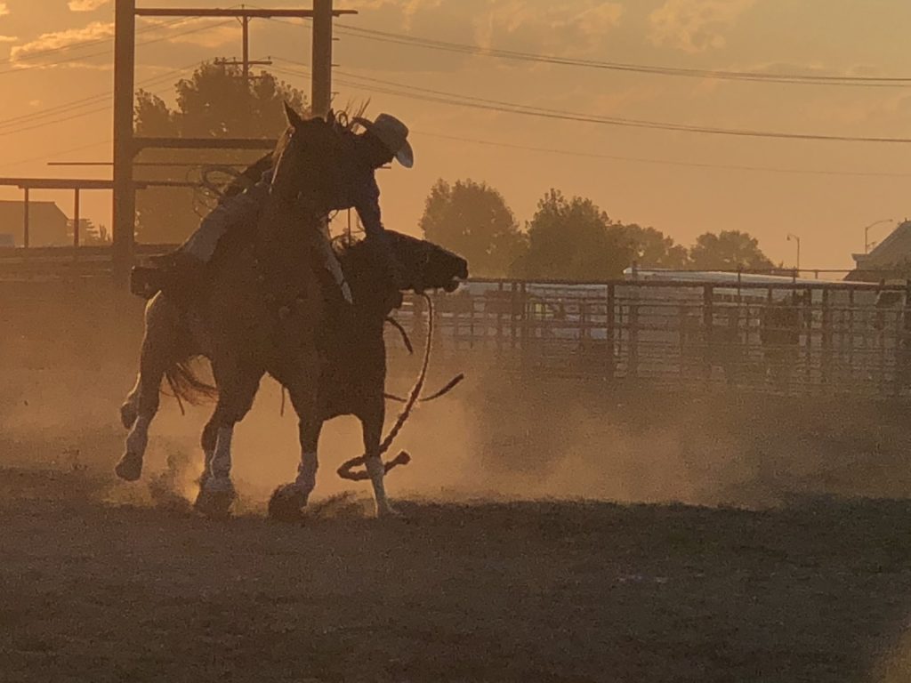 Cowboy riding horse at rodeo