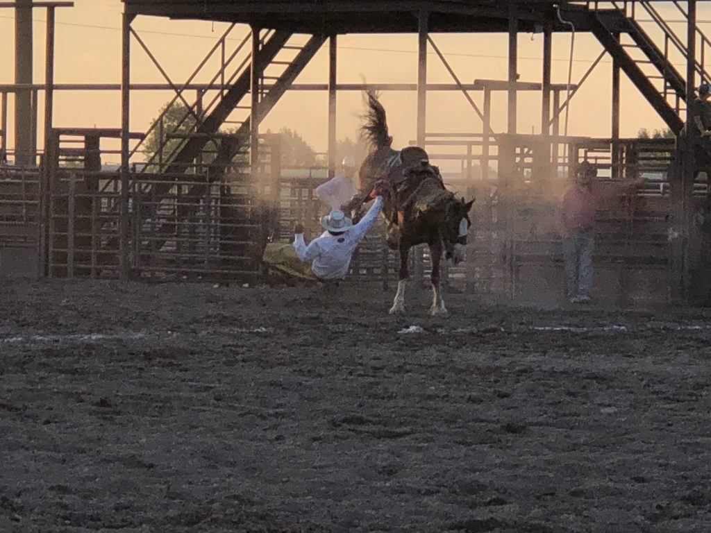 Cowboy riding horse at rodeo