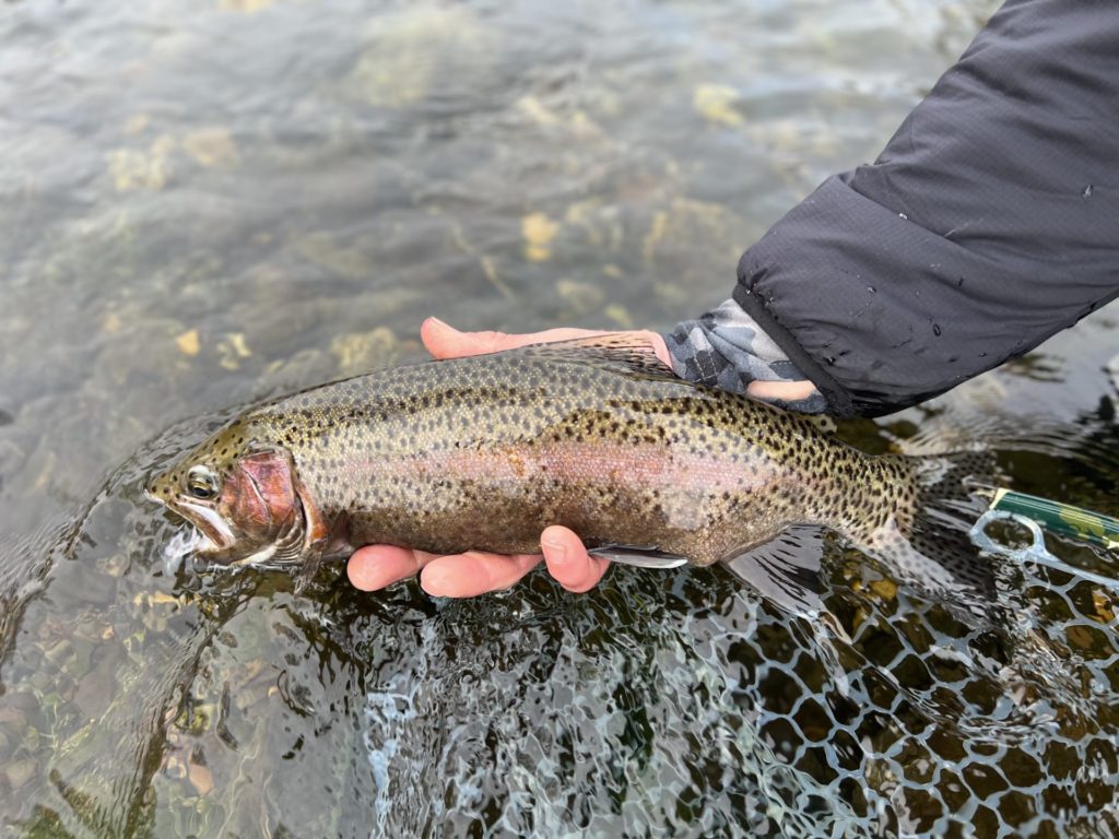 Fly fishing Primer