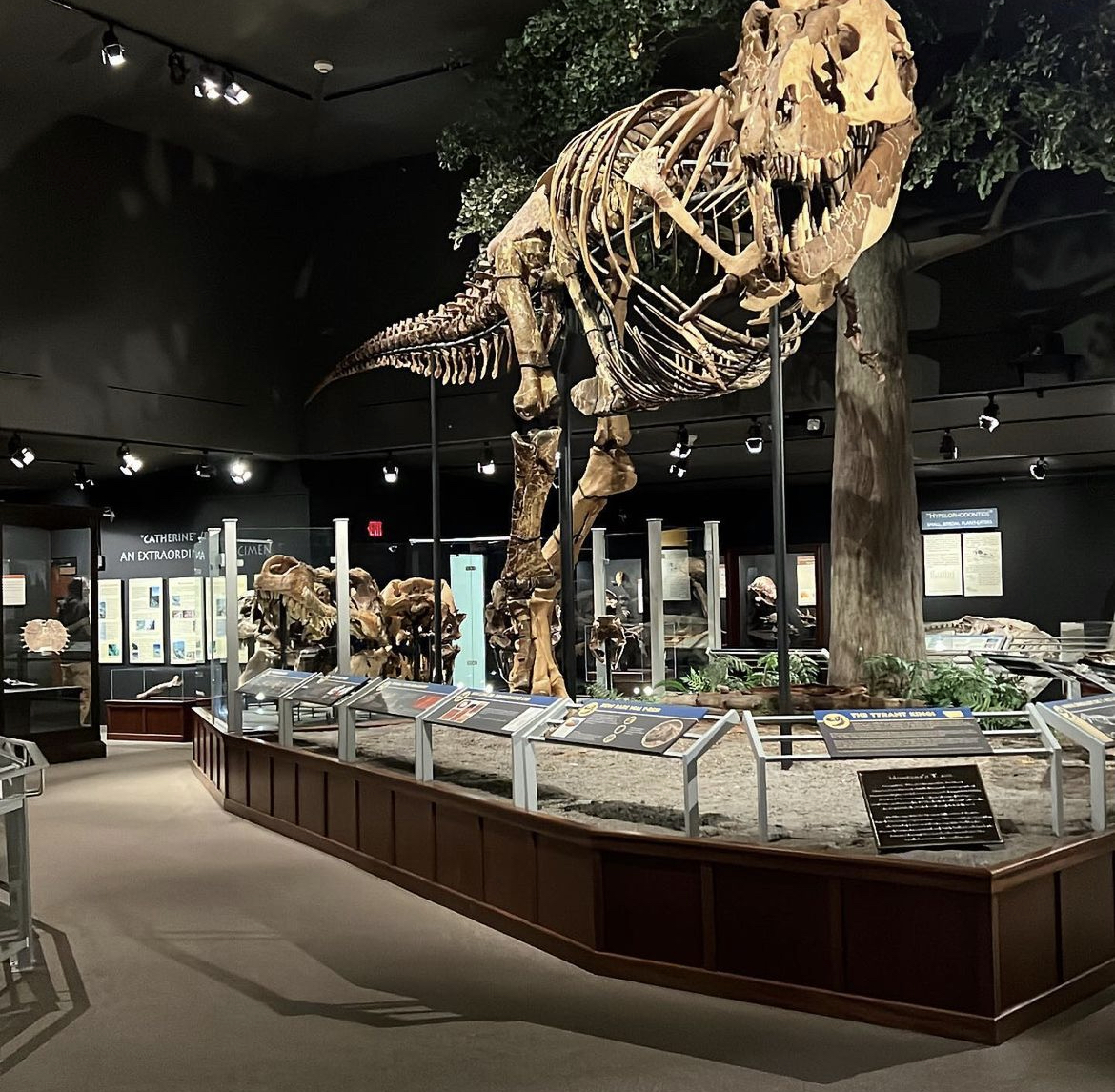 Favorite Museums in Bozeman