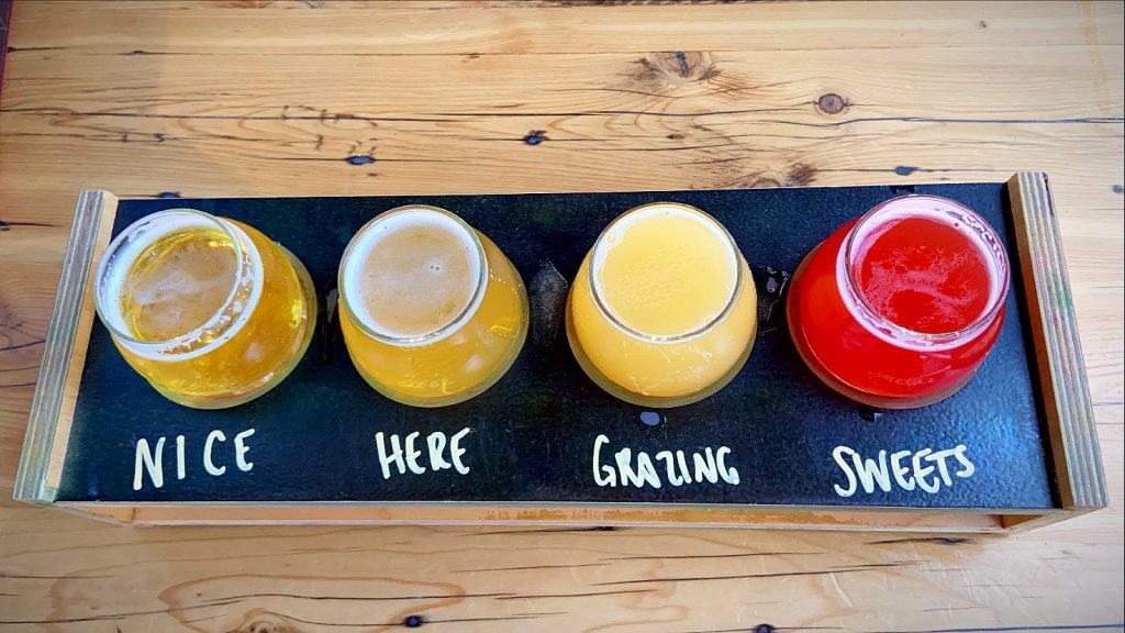 A flight of craft beer inside of Mountains walking brewery and Pub