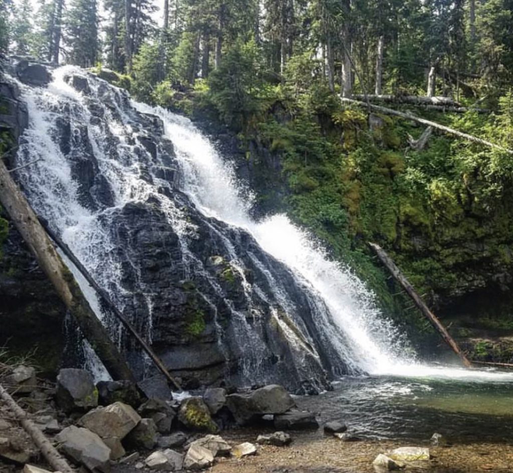 view of grotto falls from the trail end