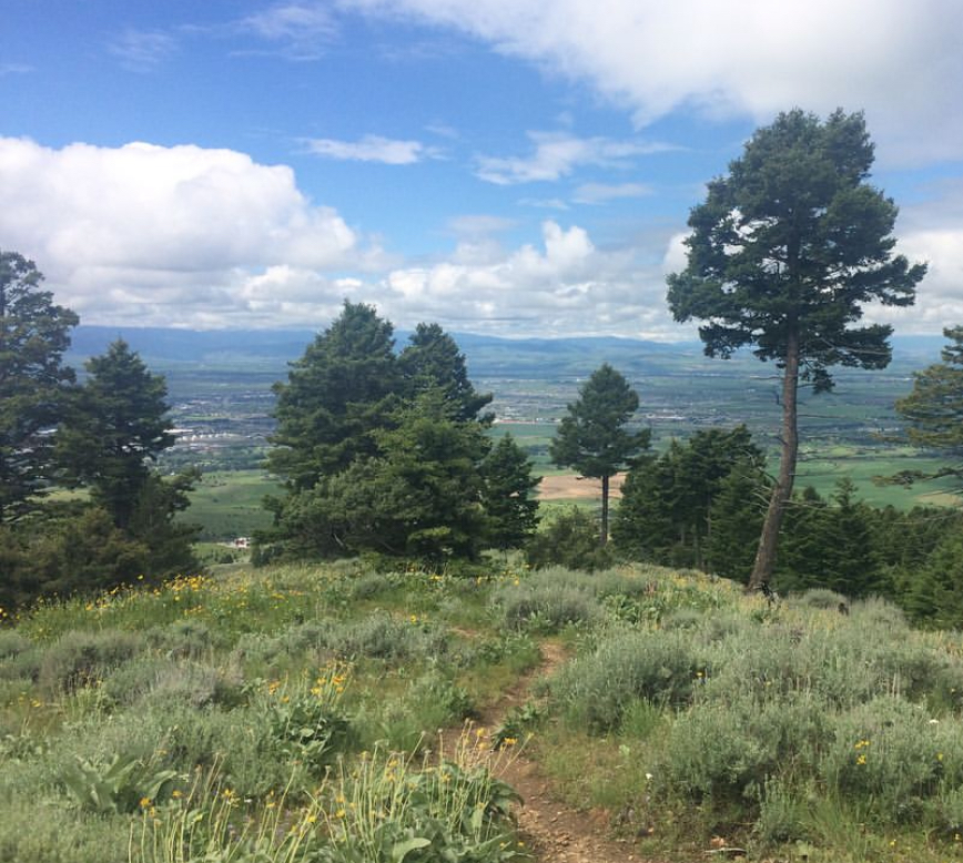 view of the valley below from the top of sypes canyon trail